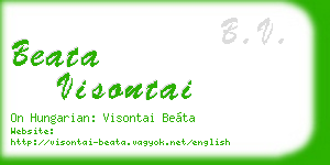 beata visontai business card